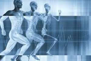 Comienza en Punta del Este un congreso internacional de Preparación Física y Medicina del Deporte