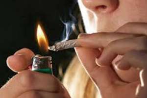 Comienza a operar en Maldonado un nuevo plan de lucha contra las drogas