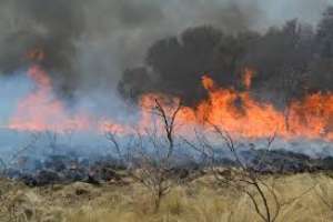 Bomberos extinguieron un incendio que afectó 100 hectáreas de campo, cerca de Pan de Azúcar