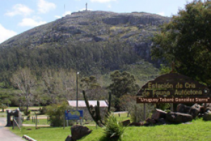 Quedó inhabilitado el ascenso al Cerro Pan de Azúcar