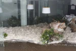 Olas impactaron en edificio y dos personas resultaron lesionadas; ráfagas alcanzaron 120km y hay evacuados