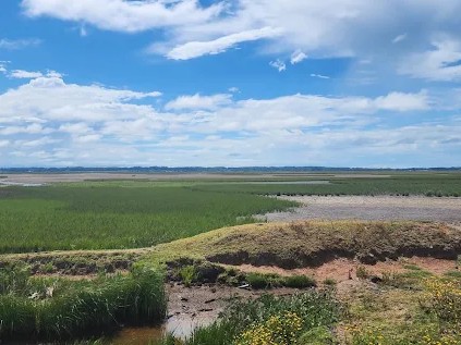 Litigio inédito entr...