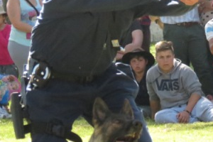 Nueva exhibición y prueba por parte del Plantel de Perros de la Jefatura