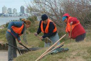 Extienden jornales solidarios con inversión de 20 millones de pesos