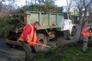 Suprimieron el "punto verde" del Parque La Cascada