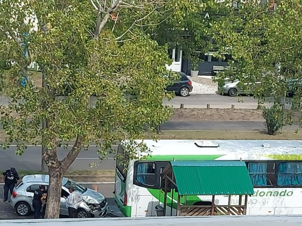 Siniestro de tránsito entre un ómnibus y un automóvil: una embarazada debió ser trasladada a una mutualista