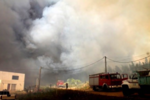 Bomberos capacitará a funcionarios de intendencia y municipios sobre incendios forestales 
