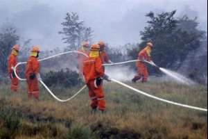 Bomberos tendrá destacamentos temporales en Solanas, La Barra, José Ignacio y Punta del Este