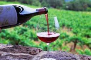Presentaron los principales vinos de Uruguay en Argentina
