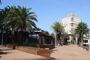 Feria de la Plaza Artigas de Punta del Este llega a su cincuentenario