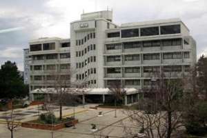 Intendencia denunció mega estafa con trámites