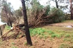 Realizan un relevamiento de los daños provocados por el temporal en el área rural