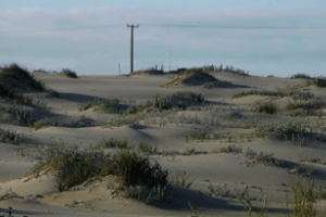 Dinama: más de 20 denuncias en la primera semana del 2017 por agresiones al medioambiente