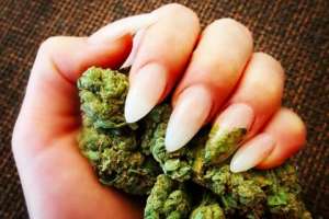 Joven envió marihuana en encomienda a Las Rosas: ahora ella también está presa