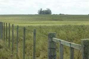 Establecen directrices ambientales para  la Rinconada de Garzón, en José Ignacio