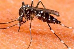 Dirección departamental de Salud convoca a la población contra el Aedes Aegypti