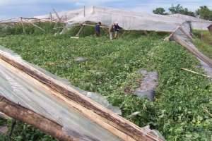 San Carlos: solo una decena de los más de 40 productores rurales afectados tiene algún seguro