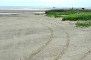 Los daños ambientales se sancionarán como un delito penal, según proyecta el gobierno