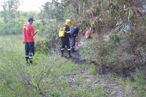 Incendio forestal y de una chimenea en restaurante fueron controlados por Bomberos