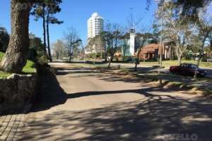 Pereira: pese a campaña del FA, cobro de la Contribución avanza en forma sostenida