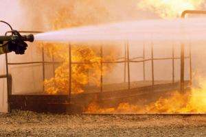 Comprarán dos equipos para el combate de incendios en Isla Gorriti y Arboretum Lussich