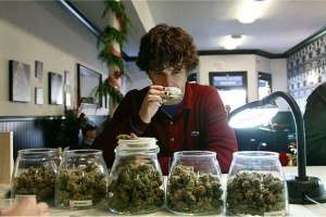 Cata de cannabis: operador Álvaro Gimeno deslinda responsabilidad con José Ignacio Social Club