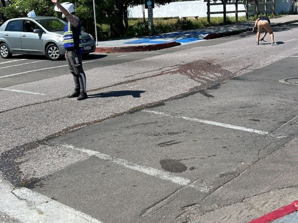 Dos siniestros de tránsito ocurrieron en Maldonado; un hombre resultó con “traumatismo de cadera”