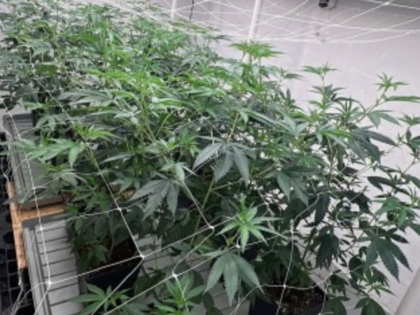 Persecución policial...