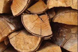 Robaron casi 10.000 kilos de leña de su empeladora y fueron procesados