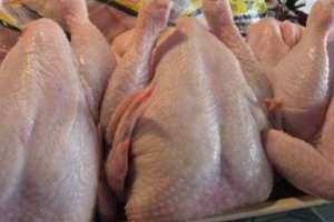 Se incautaron y destruyeron otros 500 kilos de pollo en mal estado hallados en un comercio de Maldonado