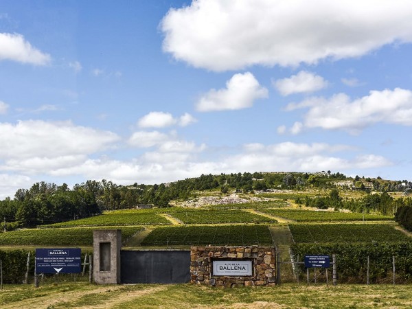 Incendio en bodega A...