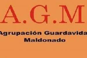 Agrupación de Guardavidas de Maldonado asume error en difusión de mensaje sobre mala calidad de las aguas