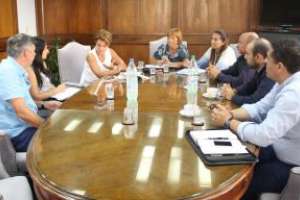 IDM iniciará una campaña de prevención y control del Aedes aegypti