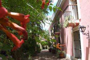 El Arboretum Lussich funciona ahora en horario de invierno