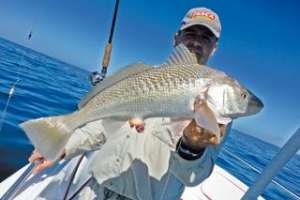 Torneo internacional de pesca: se disputa en Punta del Este la “Copa Hermandad”