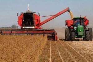 Edil Stajano alerta por la baja rentabilidad del sector agropecuario