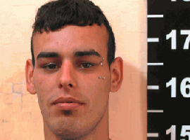 Robó en El Pejerrey, agredió a un policía y marchó a la cárcel