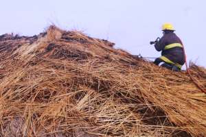 Principio de incendio en parador abandonado de Punta Fría