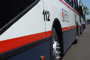 Este domingo algunas líneas de ómnibus modificarán recorrido en la península