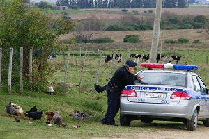 Prometen mayor presencia policial en la zona de Partido Norte