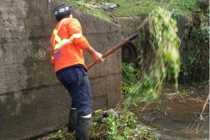 Limpian curso de la cañada central para evitar anegamientos en Piriápolis