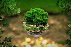 Junio Verde: diversas actividades por el Mes del Medio Ambiente en Piriápolis