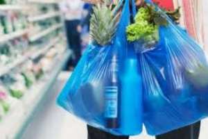 Edila Freire reclama medidas urgentes para limitar el uso de bolsas plásticas