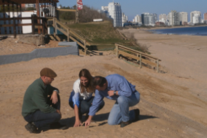 IDM avanza en el Proyecto de Conservación de Playas