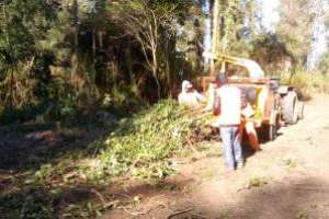 Jóvenes que integran los Jornales Solidarios iniciaron la segunda etapa de trabajo