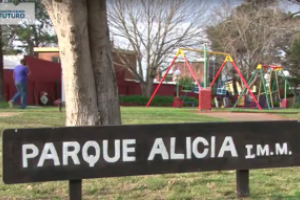 Distribuirán 10.000 árboles y plantas en espacios públicos y acondicionan plazas