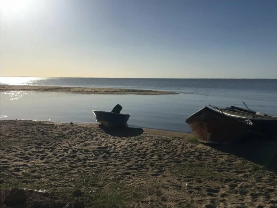 Prohíben la pesca de...