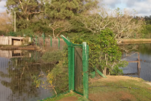 Retiraron vegetación sumergida de lagos de la Estación de Fauna