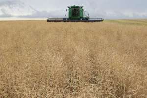 Edil Varela exige al gobierno nacional que cumpla sus promesas para el agro