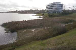 Islote en la superficie de la Laguna del Diario es un fenómeno natural